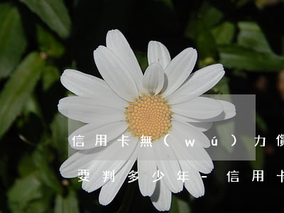信用卡無(wú)力償還50萬(wàn)要判多少年-信用卡無(wú)力償還50萬(wàn)要判多少年呢