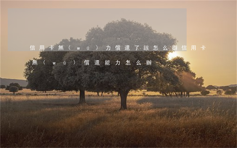 信用卡無(wú)力償還了該怎么辦(信用卡無(wú)償還能力怎么辦)