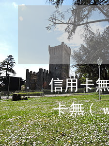 信用卡無(wú)力償還只能逾期嗎(欠信用卡無(wú)力償還多久會(huì)被起訴)