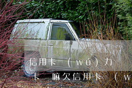 信用卡無(wú)力償還可以用另一張信用卡還嘛 欠信用卡無(wú)能力償還債務(wù)怎么辦