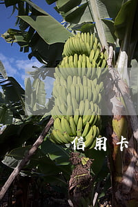 信用卡無(wú)力償還呆賬(呆帳信用卡)