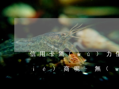 信用卡無(wú)力償還怎么跟銀行協(xié)商呢-無(wú)能力償還信用卡怎么跟銀行溝通