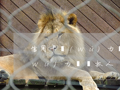 信用卡無(wú)力償還抓人-信用卡無(wú)力償還抓人