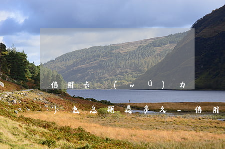 信用卡無(wú)力償還最長(zhǎng)免息期是多久-信用卡無(wú)力償還最長(zhǎng)免息期是多久啊