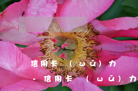 信用卡無(wú)力償還每月先還幾百行嗎-信用卡無(wú)力償還每月先還幾百行嗎是真的嗎