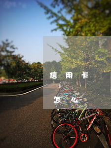 信用卡無(wú)心逾期怎么辦(信用卡逾期怎么辦)