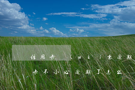 信用卡無(wú)意逾期了怎么辦(銀行信用卡不小心逾期了怎么辦)