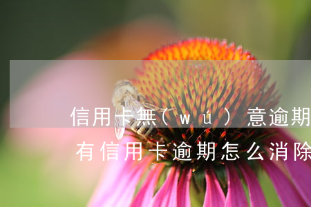 信用卡無(wú)意逾期怎么取消征信(征信有信用卡逾期怎么消除)