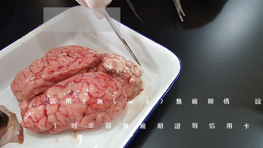 信用卡無(wú)意逾期情況說(shuō)明(非惡意逾期證明 信用卡)