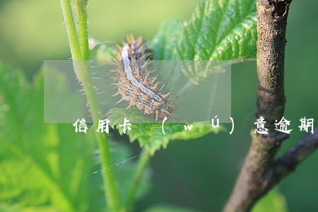 信用卡無(wú)意逾期的解釋 信用卡逾期