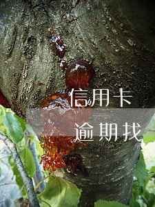 信用卡無(wú)故降額度導(dǎo)致逾期找誰(shuí) 為什么我的信用卡一直被降額