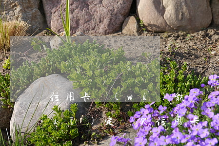 信用卡無(wú)能償還怎么辦法律規(guī)定-欠信用卡無(wú)能力償還債務(wù)怎么辦