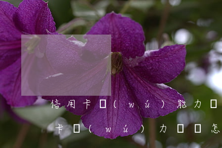 信用卡無(wú)能力償還了怎么辦-信用卡無(wú)力償還怎么辦理停息掛賬