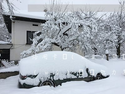 信用卡無(wú)能為力還怎么辦(信用卡無(wú)償還能力怎么辦)