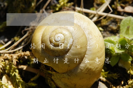 信用卡無(wú)逾期分期后止付(信用卡逾期止付是什么意思)
