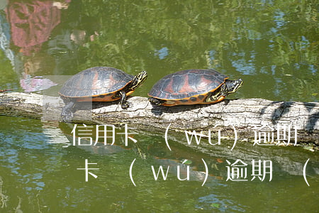 信用卡無(wú)逾期協(xié)商 信用卡無(wú)逾期協(xié)商還款流程