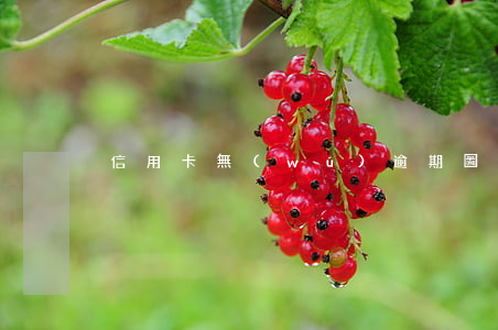 信用卡無(wú)逾期圖片高清