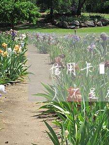 信用卡無(wú)逾期屬于不良債務(wù)(不是本造成信用卡逾期怎么辦)