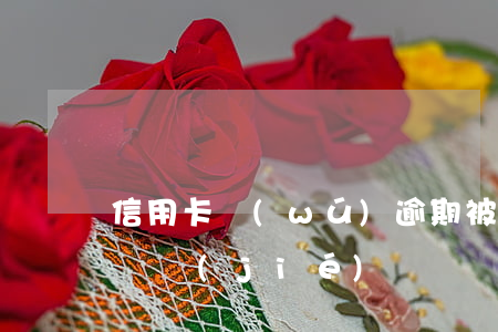 信用卡無(wú)逾期被止付了(信用卡 逾期 凍結(jié))