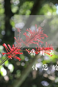 信用卡無(wú)逾期被止付(否則我行將止付您的信用卡)