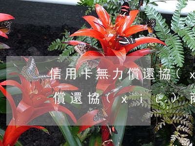 信用卡無力償還 協(xié)商(信用卡無力償還 協(xié)商)