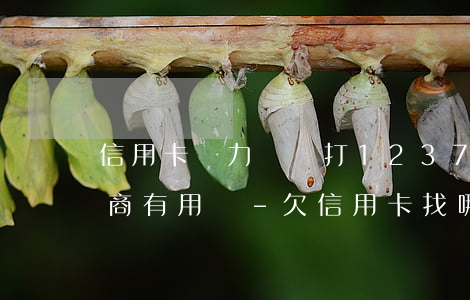 信用卡無力償還打12378協(xié)商有用嗎-欠信用卡找哪個部門協(xié)商