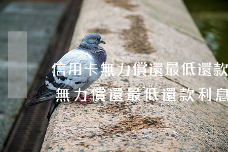 信用卡無力償還最低還款利息多少-信用卡無力償還最低還款利息多少錢