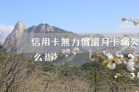 信用卡無力償還月卡痛 欠信用卡無力償還怎么辦