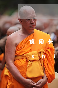 信用卡無力償還被催收怎么辦(信用卡暫時(shí)還不上怎么應(yīng)對催收)
