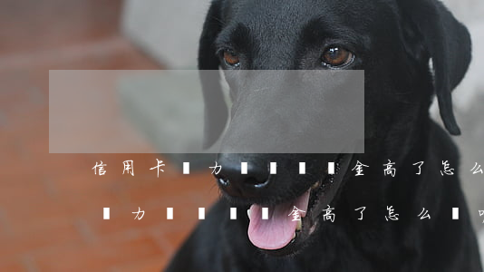 信用卡無力償還違約金高了怎么辦-信用卡無力償還違約金高了怎么辦呢