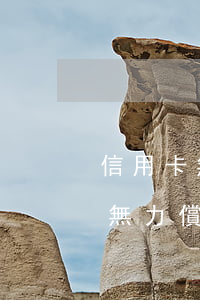 信用卡無力償還銀行又不同意分期-信用卡無力償還銀行又不同意分期怎么辦