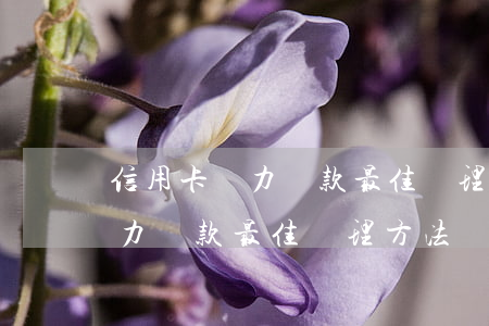 信用卡無力還款最佳處理方法(招商信用卡無力還款最佳處理方法)