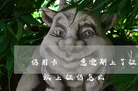 信用卡無惡意逾期上了征信怎么辦 無意逾期導致上征信怎么辦