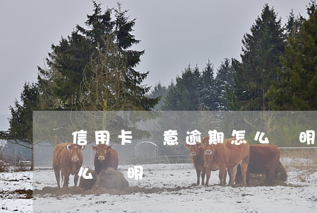 信用卡無意逾期怎么證明(信用卡無意逾期怎么證明)