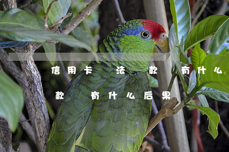 信用卡無法還款會有什么后果(信用卡無法還款會有什么后果)