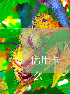 信用卡無逾期 征信(信用卡無逾期征信有記錄么)