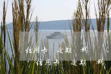 信用卡無逾期會影響進(jìn)村委會嗎-信用卡無逾期會影響進(jìn)村委會嗎