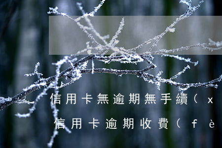 信用卡無逾期無手續(xù)費(fèi)(信用卡逾期收費(fèi)標(biāo)準(zhǔn))