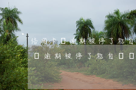 信用卡無逾期被停了能自動開通嗎-信用卡無逾期被停了能自動開通嗎安全嗎