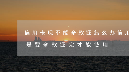 信用卡现不能全款还怎么办(信用卡逾期是不是要全款还完才能使用)