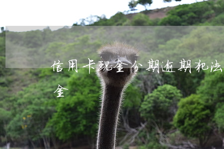 信用卡现金分期逾期犯法么(信用卡逾期违约金)