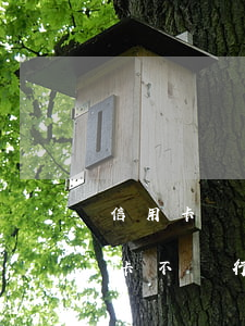 信用卡現(xiàn)在不還什么情況(信用卡不還行嗎)