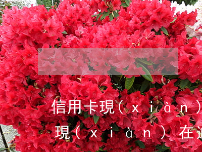 信用卡現(xiàn)在逾期兩年了(信用卡現(xiàn)在逾期兩年了會(huì)怎么樣)