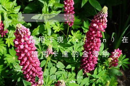 信用卡現(xiàn)在逾期還有滯納金嗎 信用卡 違約金 滯納金