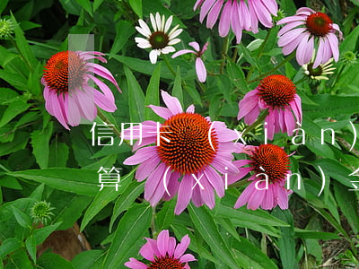 信用卡現(xiàn)金分期逾期利息怎么算(現(xiàn)金分期逾期了怎么辦)