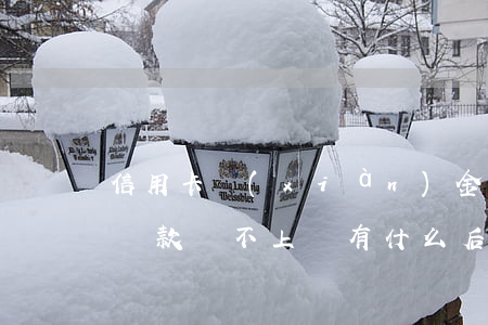 信用卡現(xiàn)金貸還不起(用信用卡貸款還不上會有什么后果)