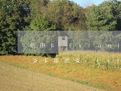 信用卡現(xiàn)金透支超限怎么辦(透支卡能透支現(xiàn)金嗎)