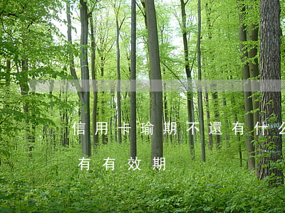 信用卡瑜期不還有什么后果(為什么信用卡還有有效期)