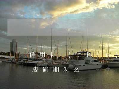 信用卡產(chǎn)生年費(fèi)造成逾期怎么辦-手續(xù)費(fèi)問題造成信用卡逾期