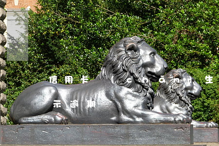 信用卡產(chǎn)生年費(fèi)顯示逾期